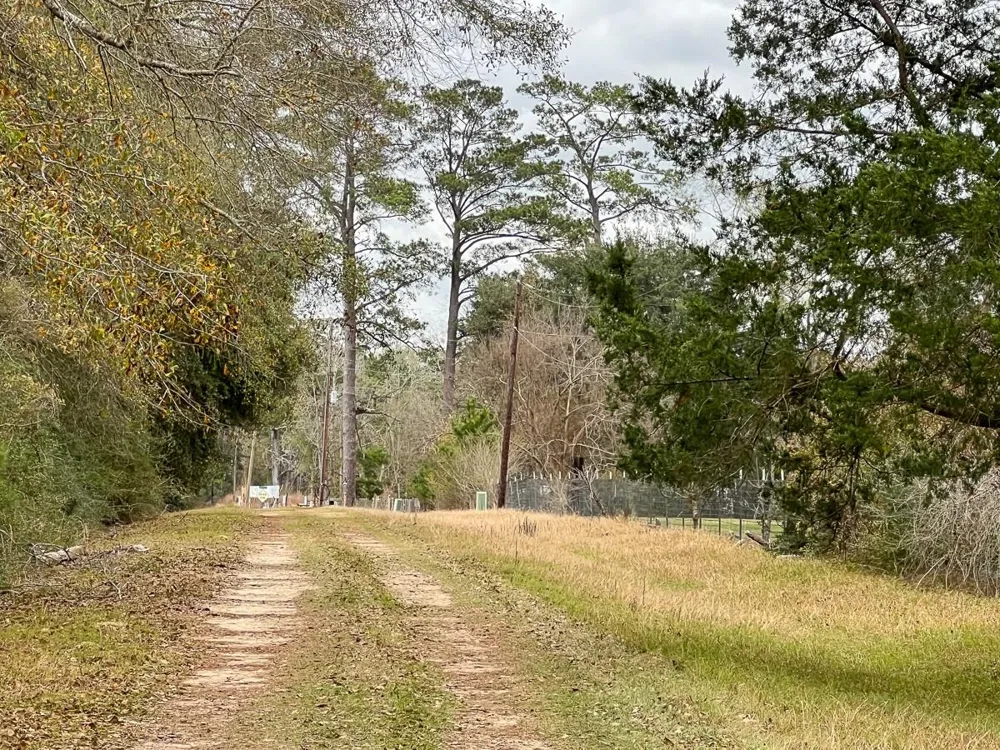 1 Fm 252 Kirbyville, TX 75956