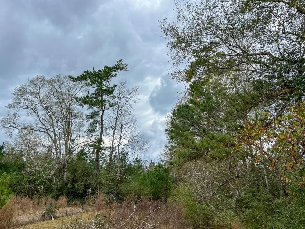 1 Fm 252 Kirbyville, TX 75956