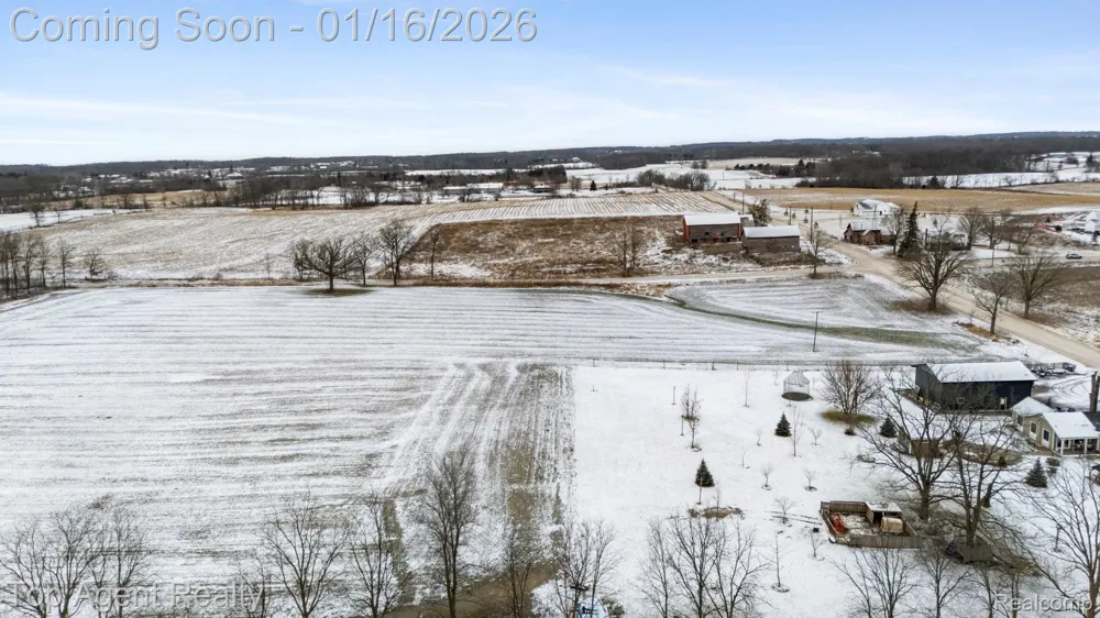 Dell Road Lodi Township, MI 48176