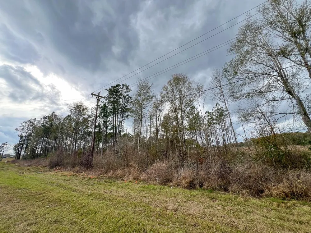 2 County Road 3038 Newton, TX 75966