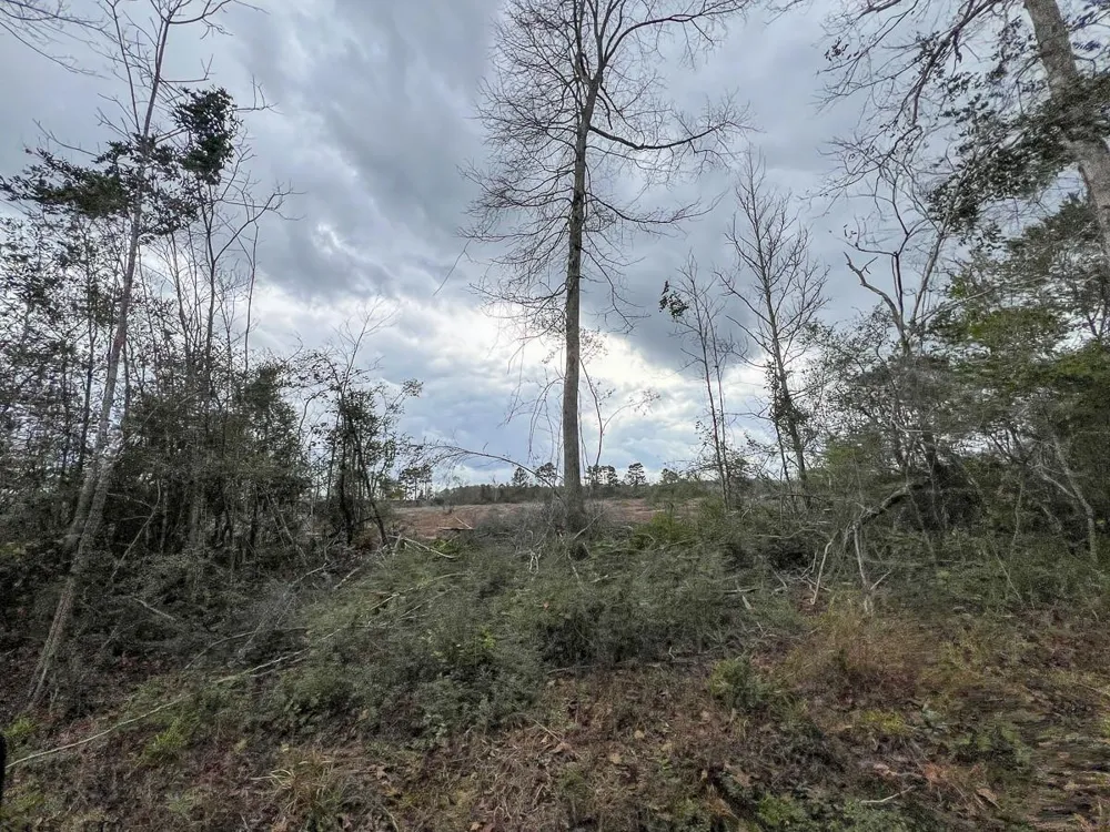 2 County Road 3038 Newton, TX 75966