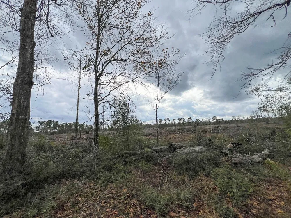 2 County Road 3038 Newton, TX 75966