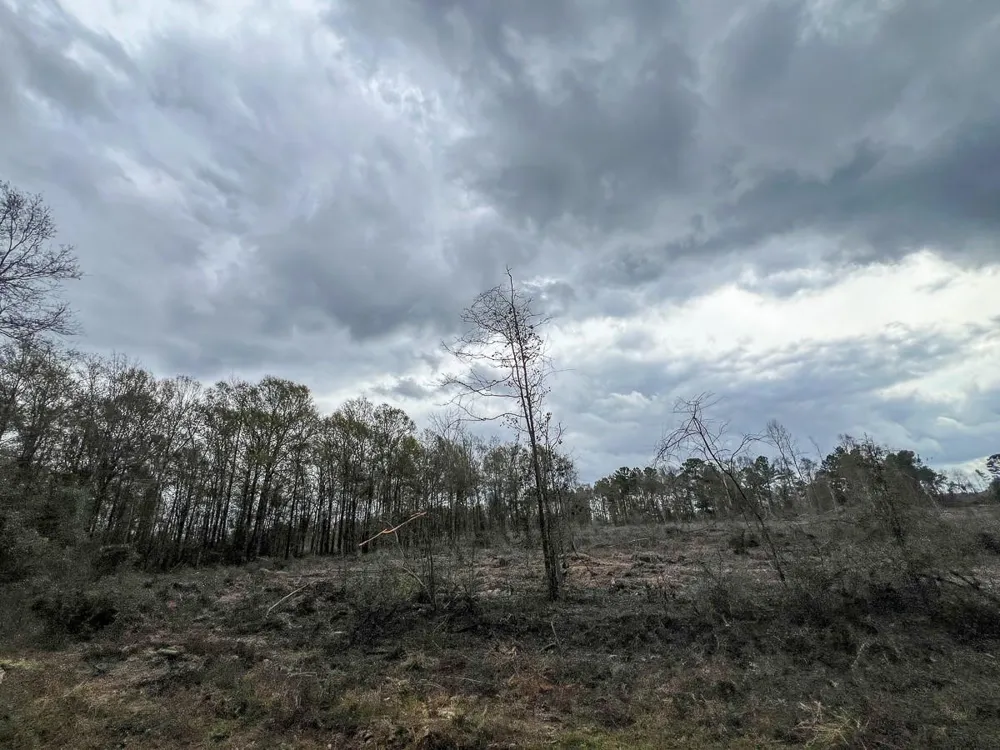 2 County Road 3038 Newton, TX 75966