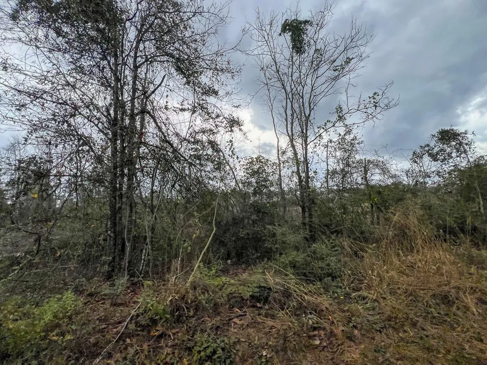 2 County Road 3038 Newton, TX 75966