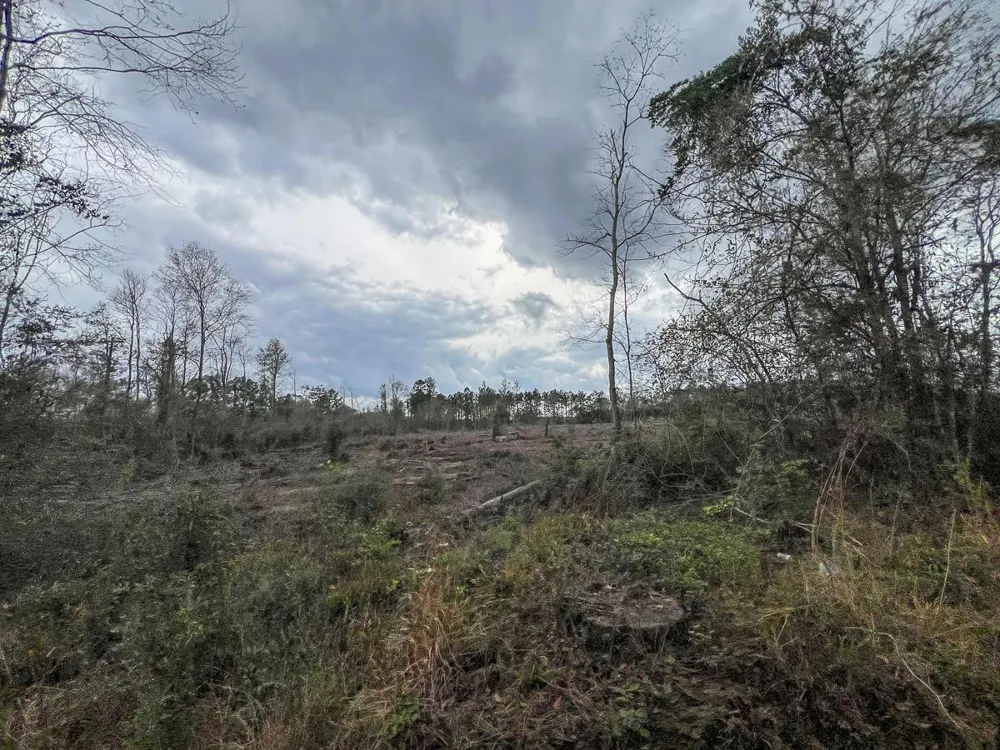 2 County Road 3038 Newton, TX 75966