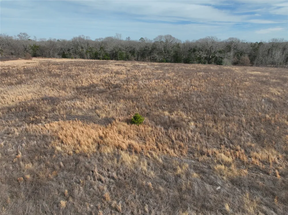 County Road 3250 Quitman, TX 75783
