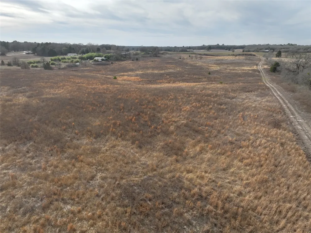 County Road 3250 Quitman, TX 75783