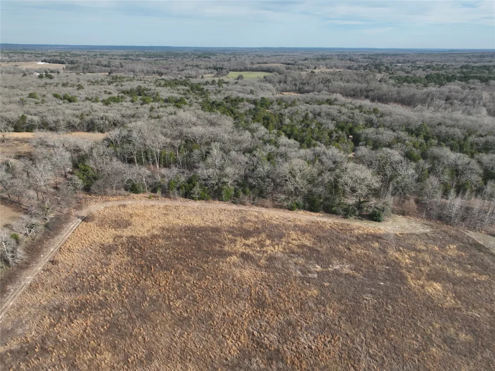 County Road 3250 Quitman, TX 75783