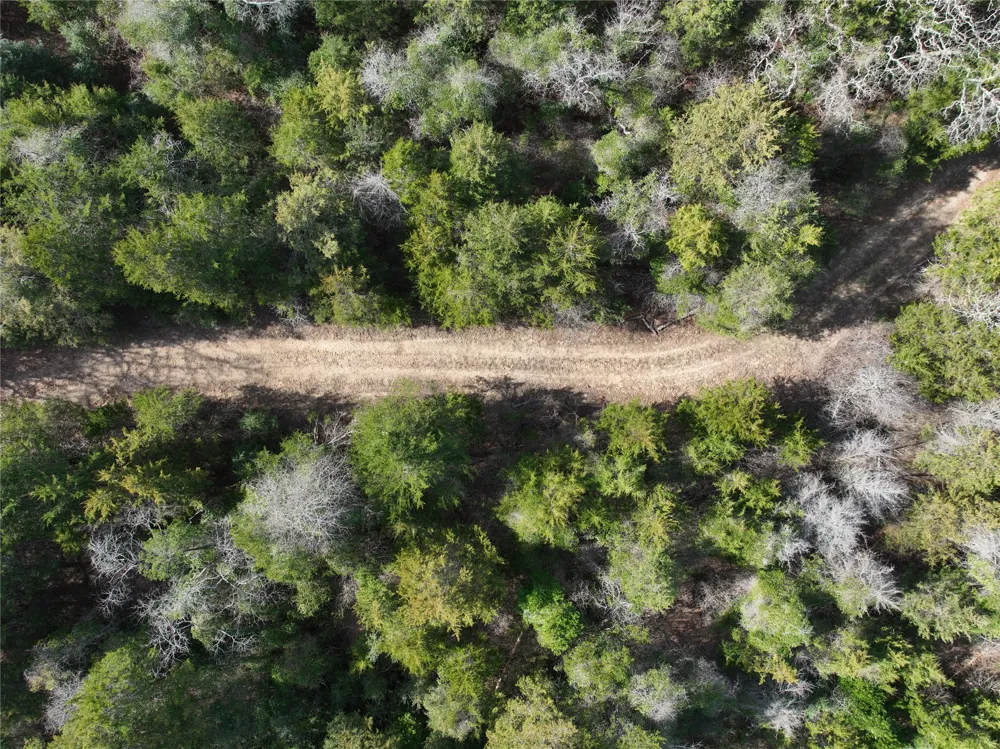 State Highway 154 Quitman, TX 75783