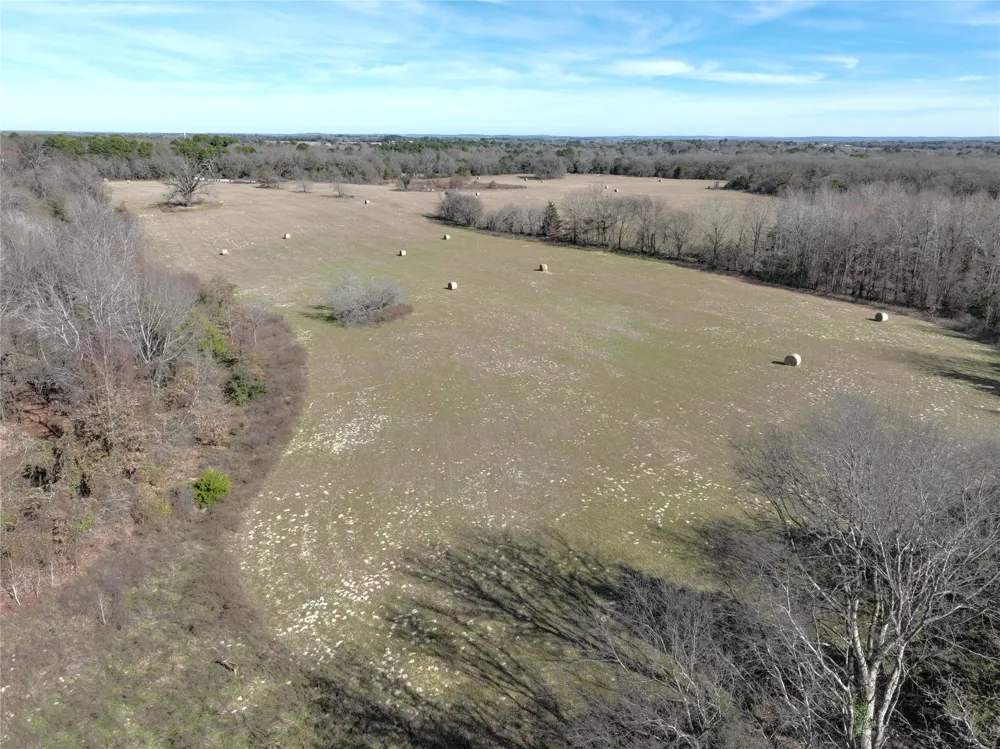 State Highway 154 Quitman, TX 75783