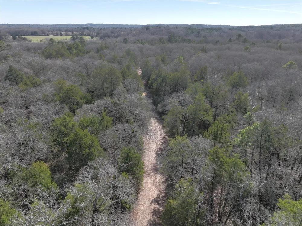 State Highway 154 Quitman, TX 75783