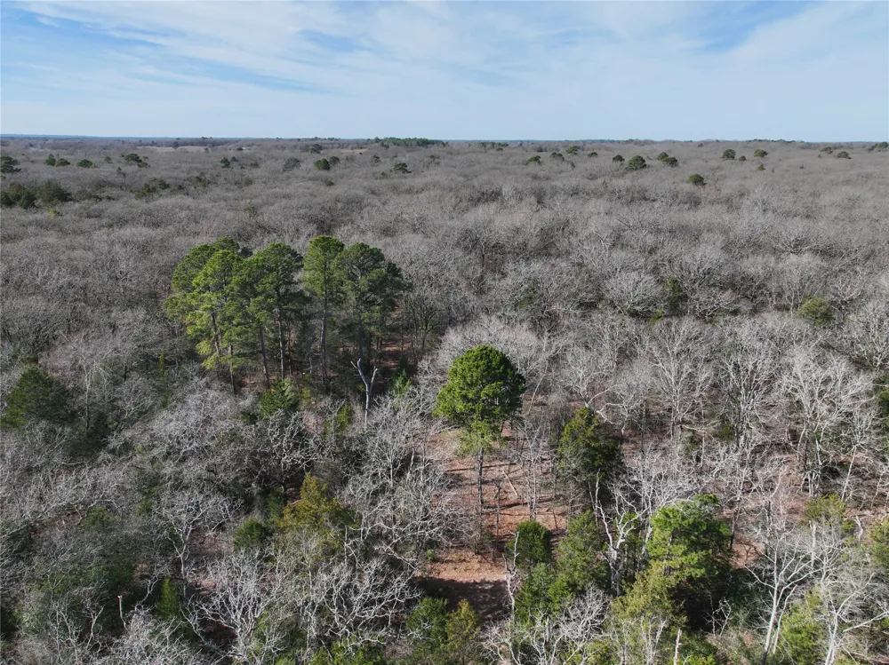 State Highway 154 Quitman, TX 75783
