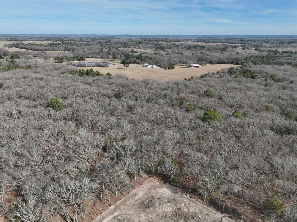 State Highway 154 Quitman, TX 75783