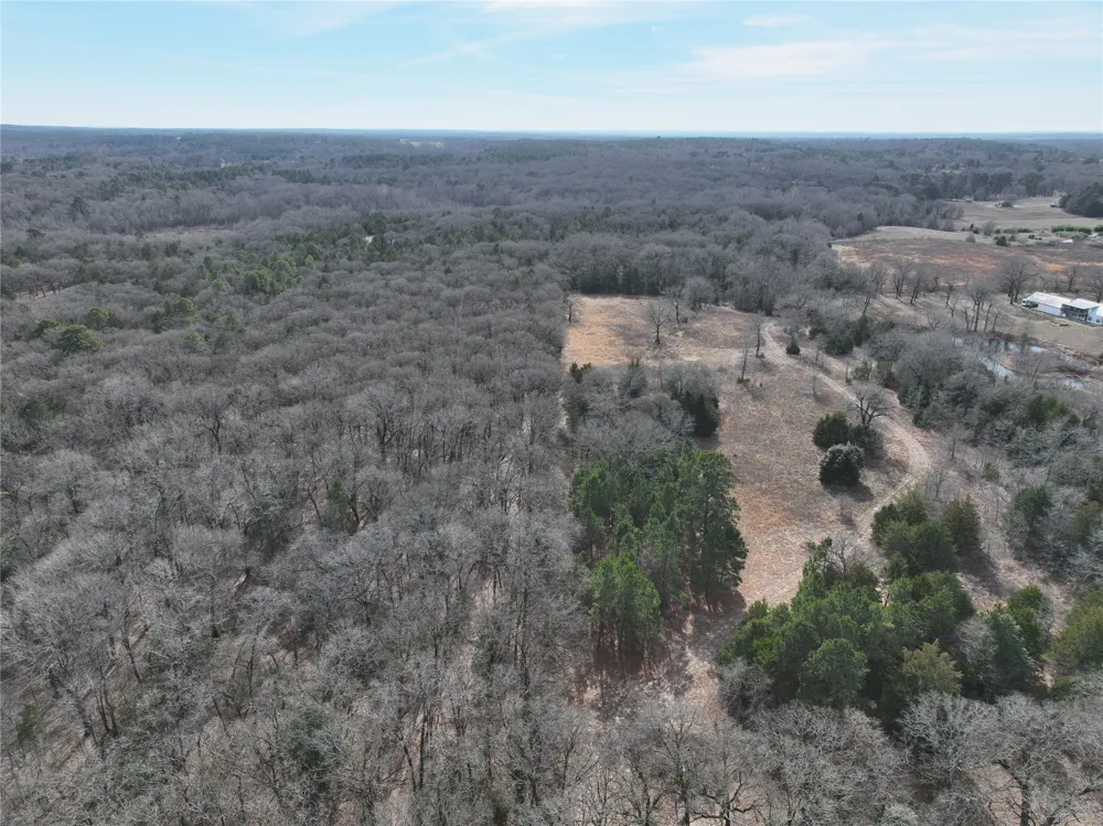 State Highway 154 Quitman, TX 75783