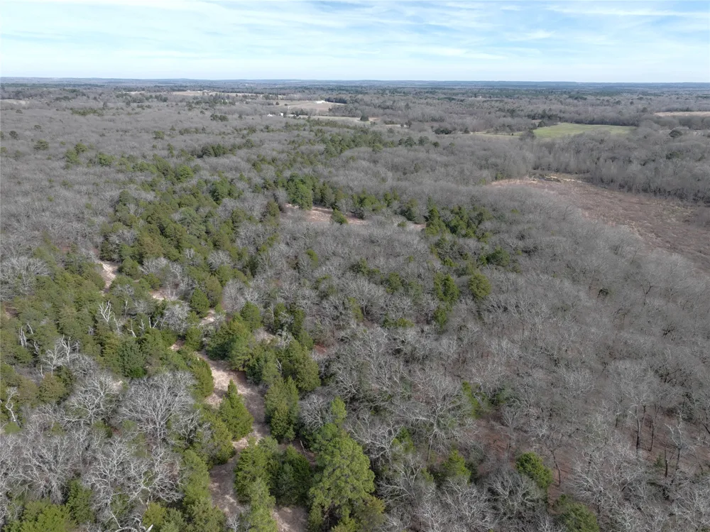State Highway 154 Quitman, TX 75783