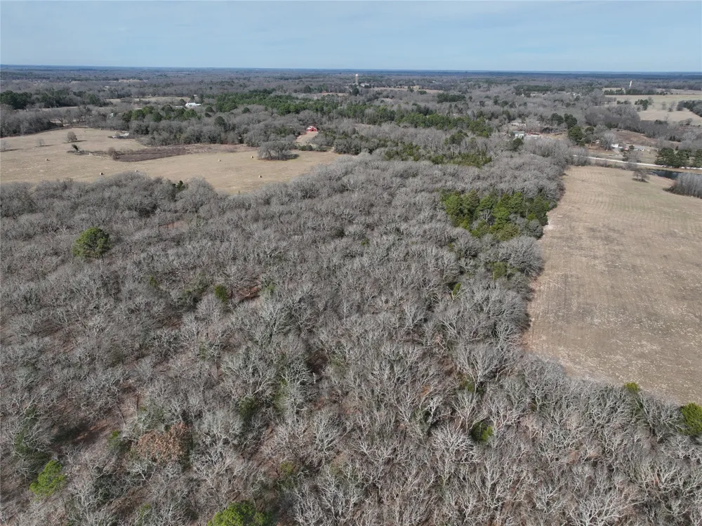 State Highway 154 Quitman, TX 75783