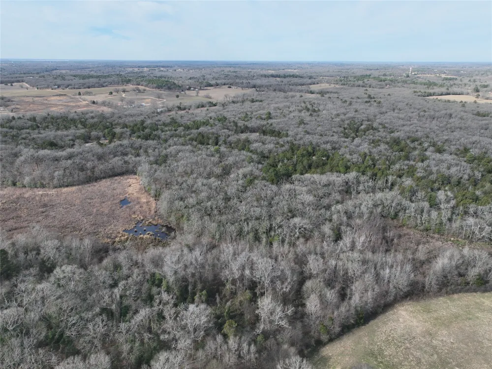 State Highway 154 Quitman, TX 75783