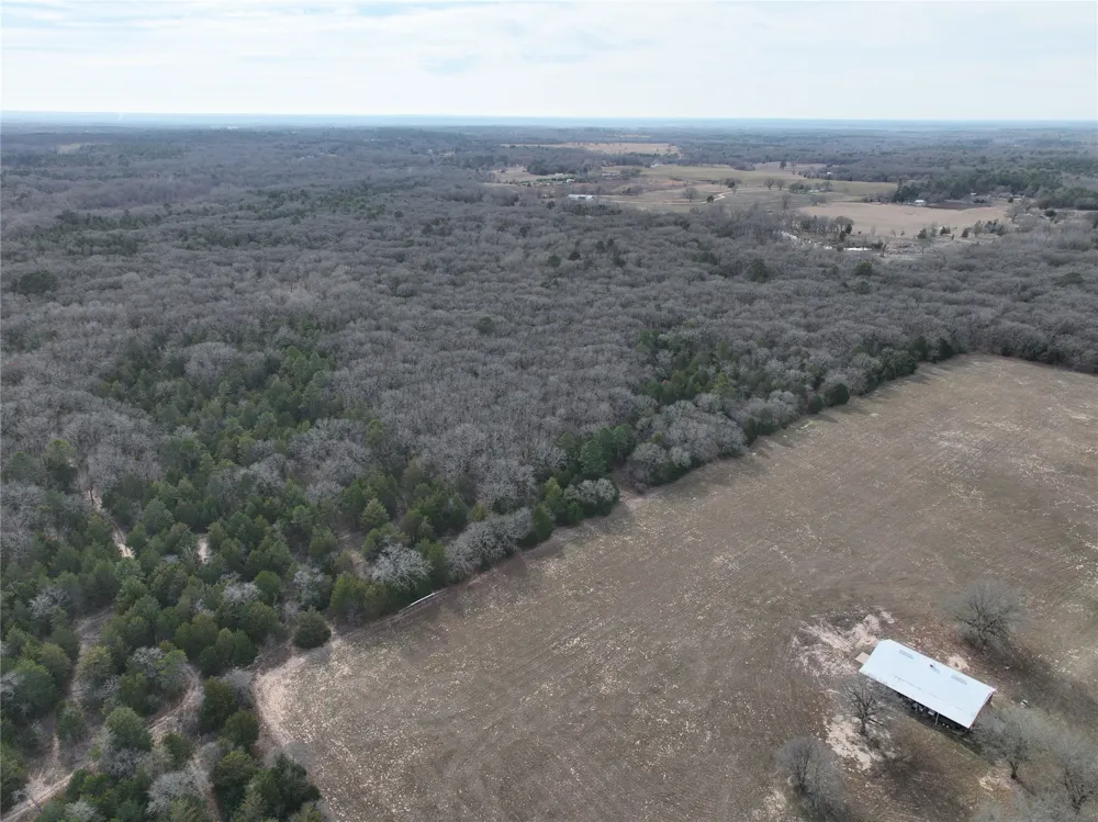 State Highway 154 Quitman, TX 75783