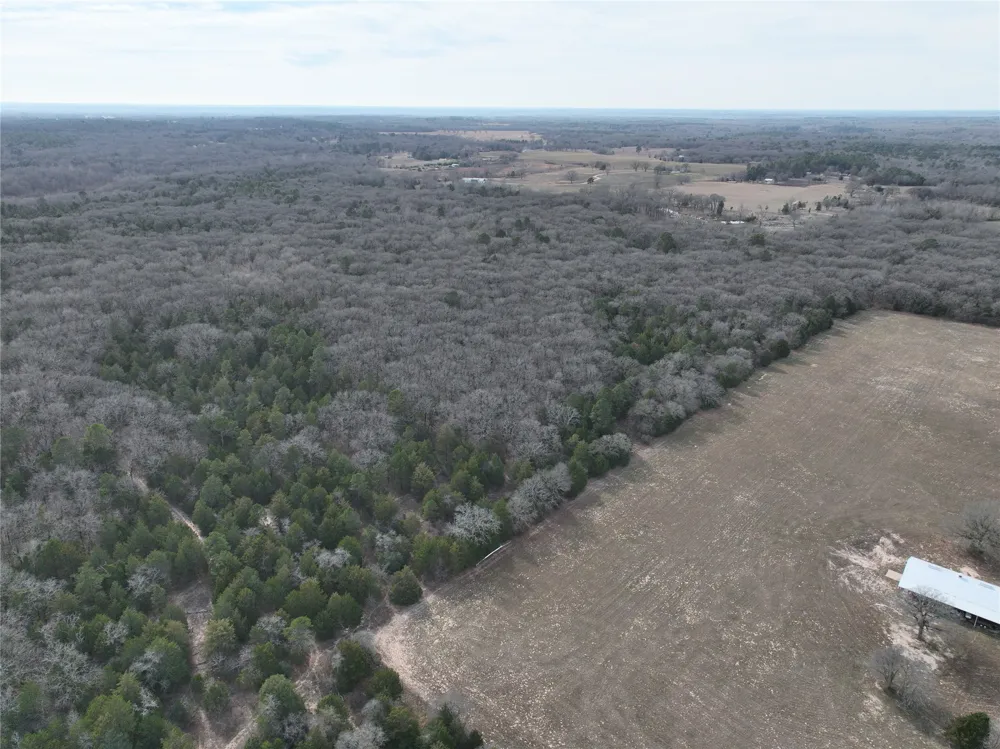 State Highway 154 Quitman, TX 75783