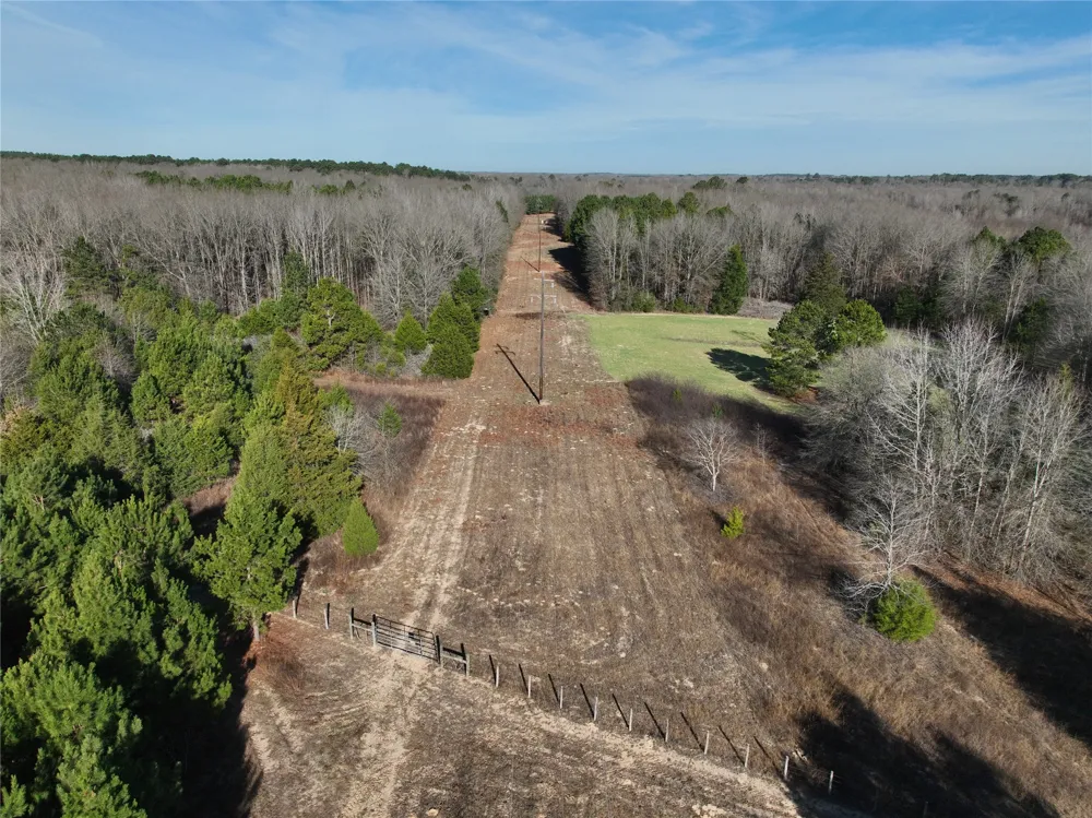 County Road 3170 Quitman, TX 75783