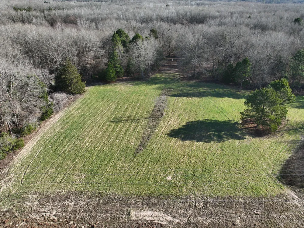County Road 3170 Quitman, TX 75783