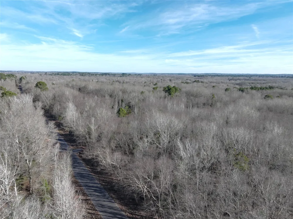 County Road 3170 Quitman, TX 75783