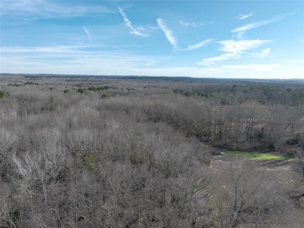 County Road 3170 Quitman, TX 75783