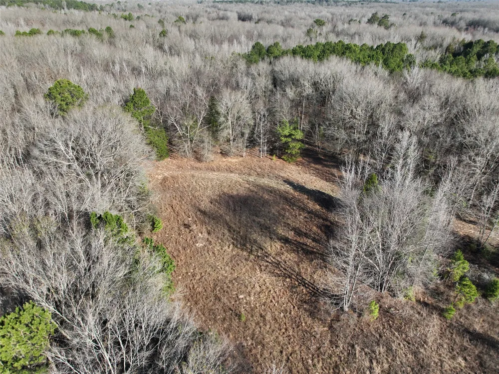 County Road 3170 Quitman, TX 75783