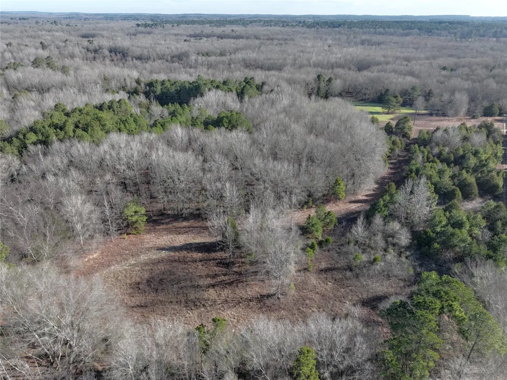 County Road 3170 Quitman, TX 75783