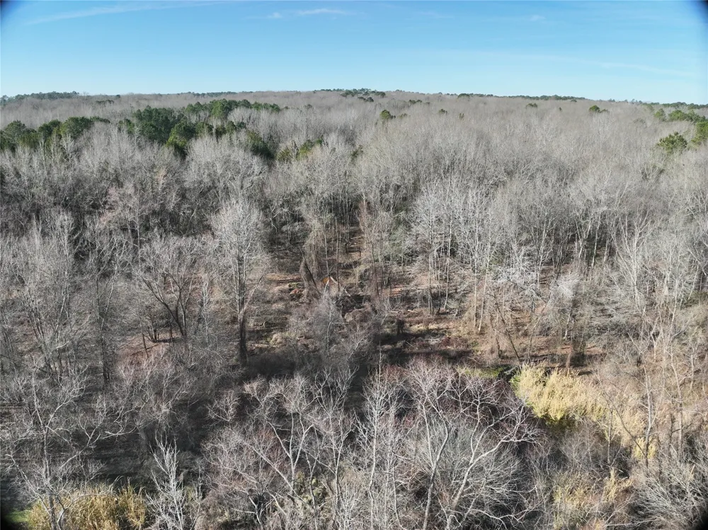 County Road 3170 Quitman, TX 75783