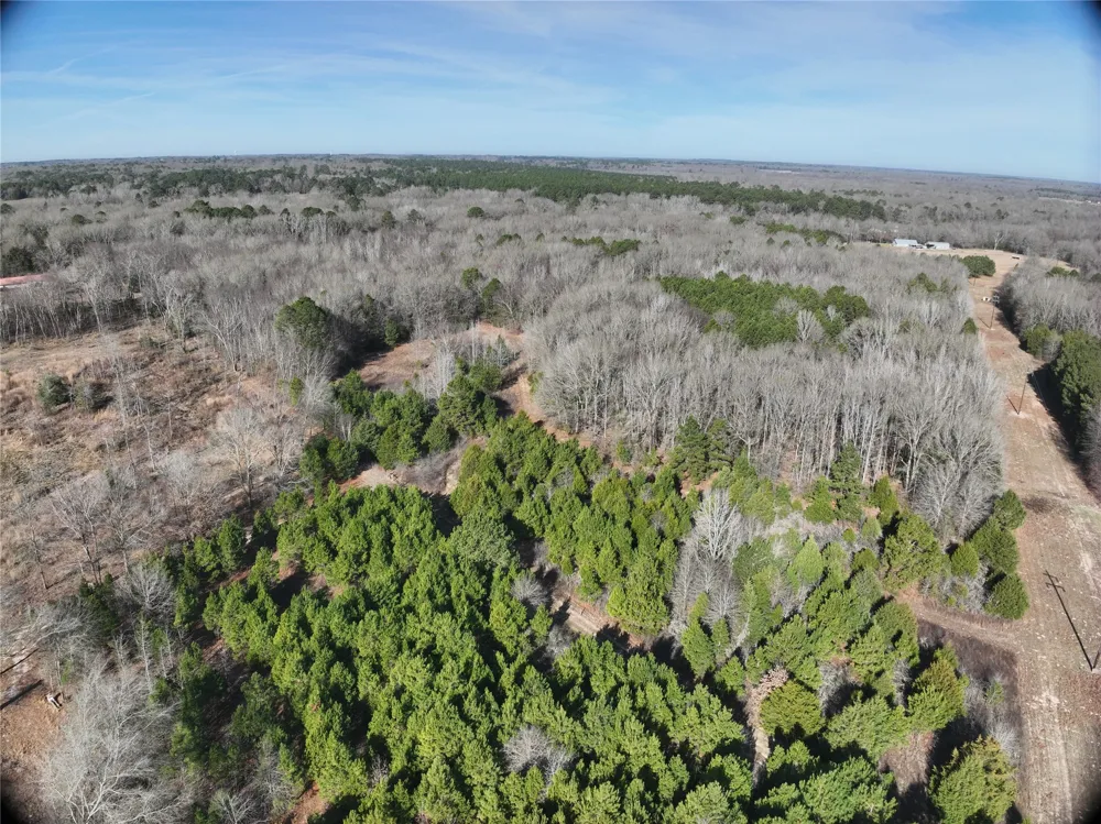 County Road 3170 Quitman, TX 75783