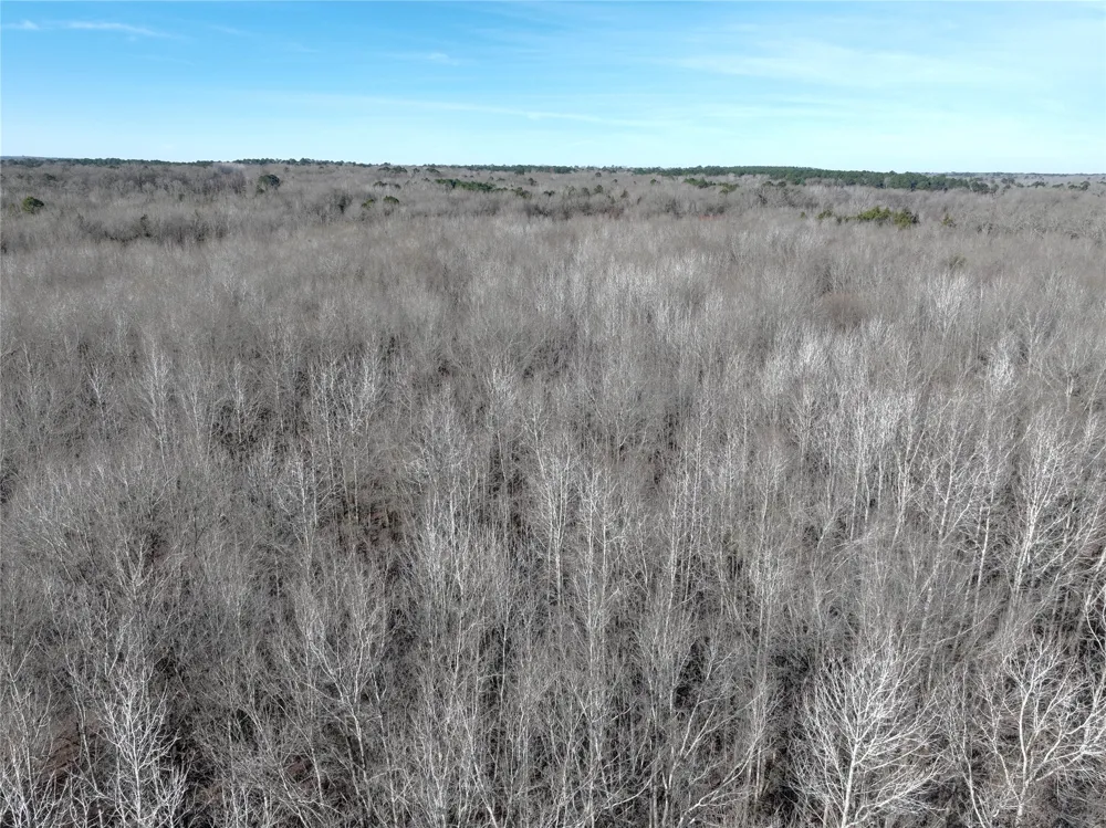 County Road 3170 Quitman, TX 75783