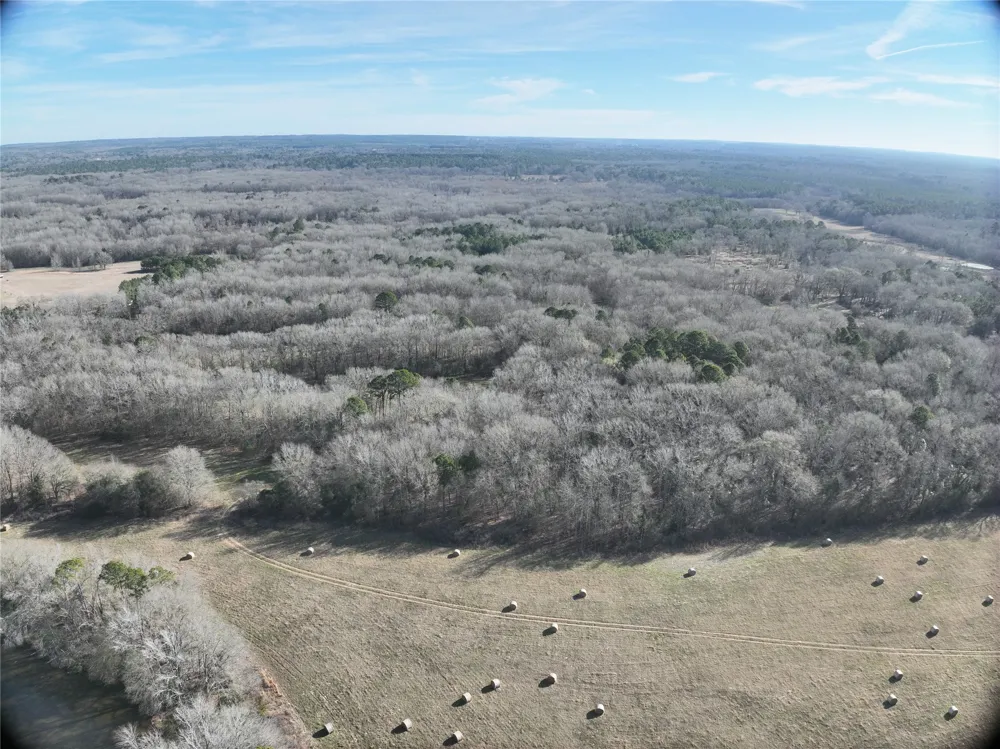 County Road 3170 Quitman, TX 75783