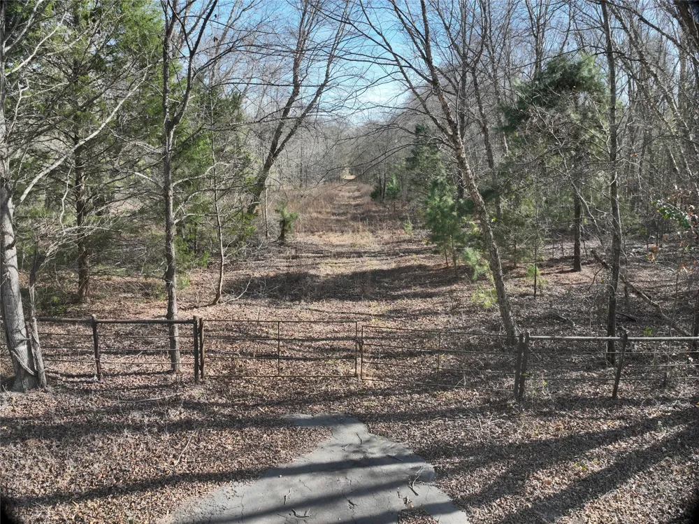 County Road 3170 Quitman, TX 75783
