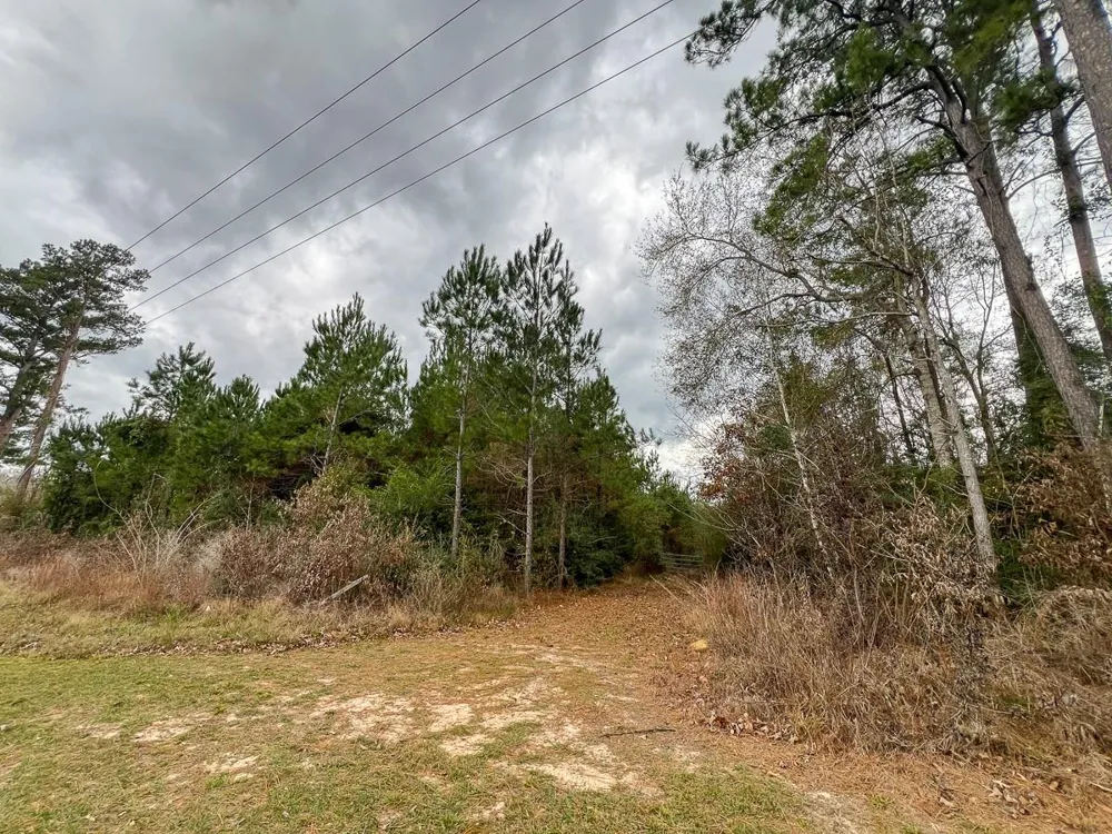 2 Highway 87 Newton, TX 75966