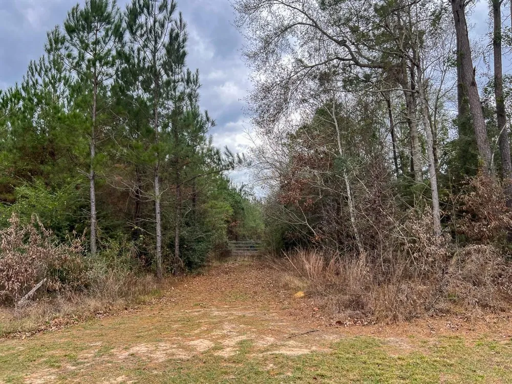 2 Highway 87 Newton, TX 75966