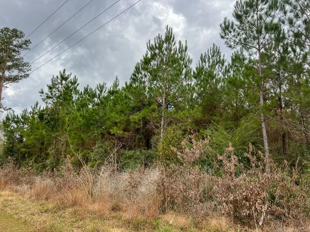 1 Highway 87 Newton, TX 75966