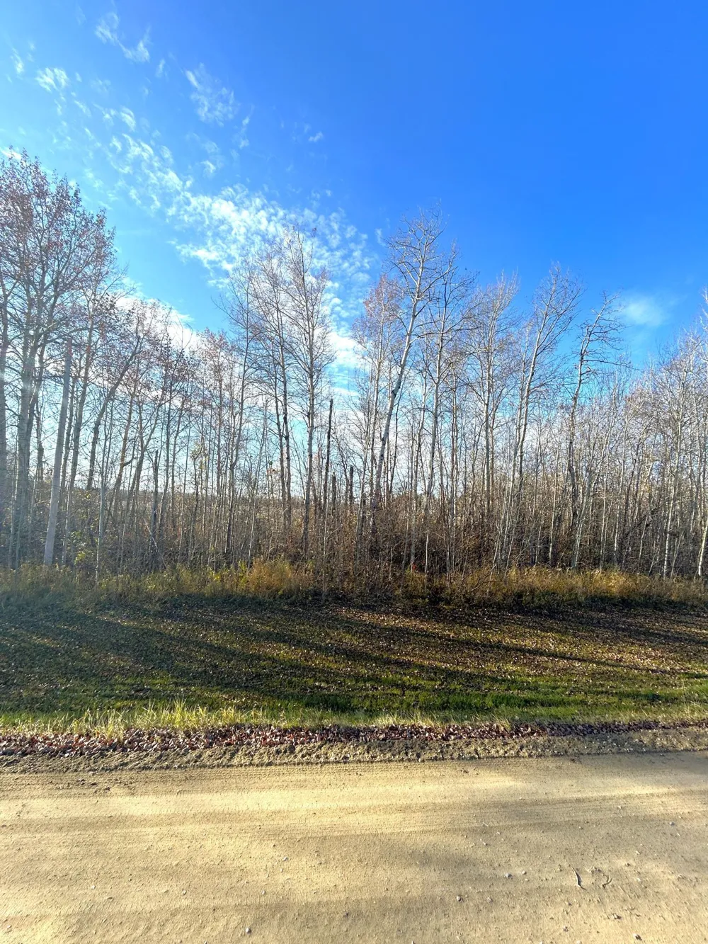 36615 County Road 13 Warroad, MN 56756