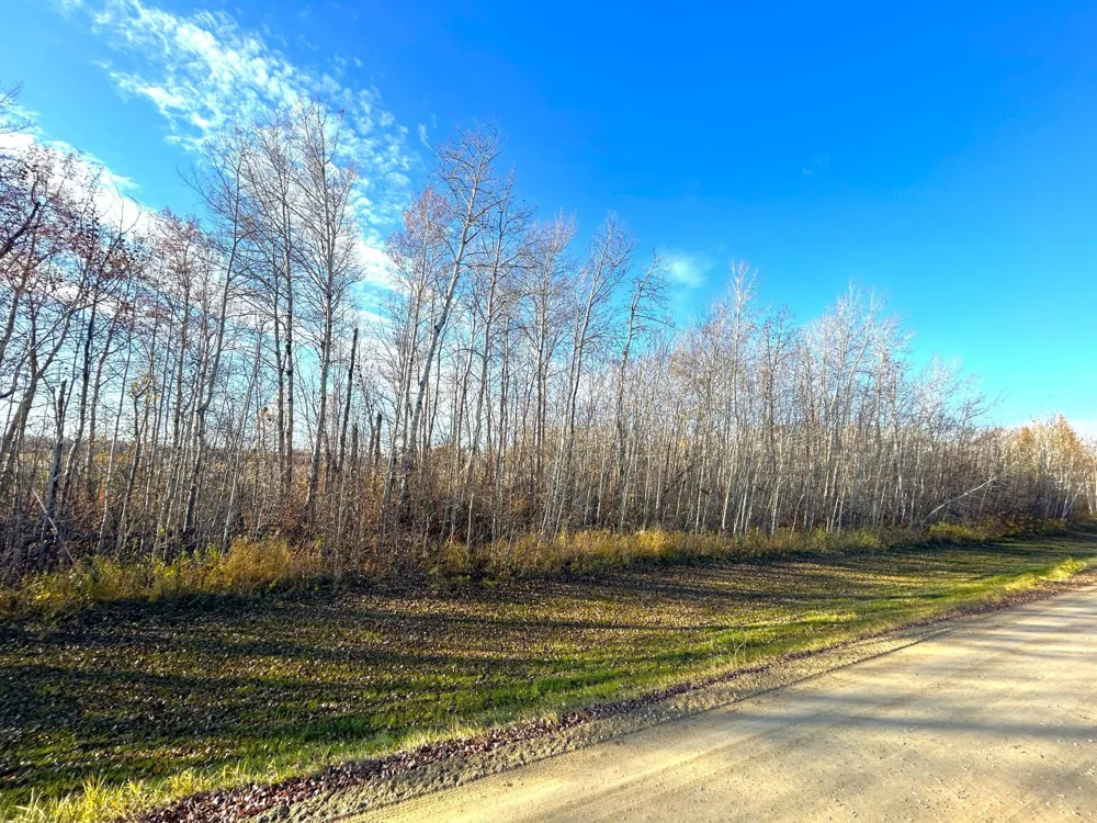 36615 County Road 13 Warroad, MN 56756