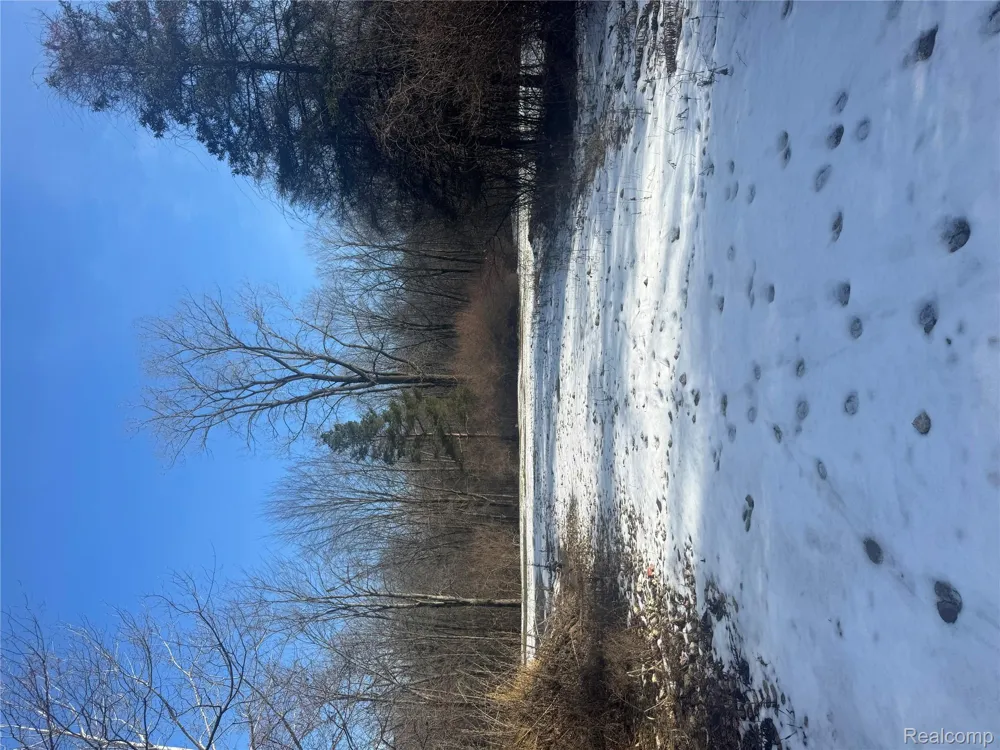 14329 Linder Drive Holly Township, MI 48442