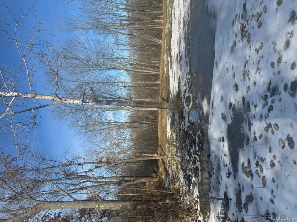 14329 Linder Drive Holly Township, MI 48442