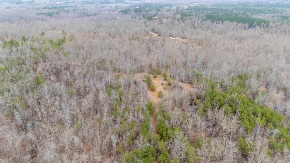 2040 LIBERTY RD Morris Chapel, TN 38361