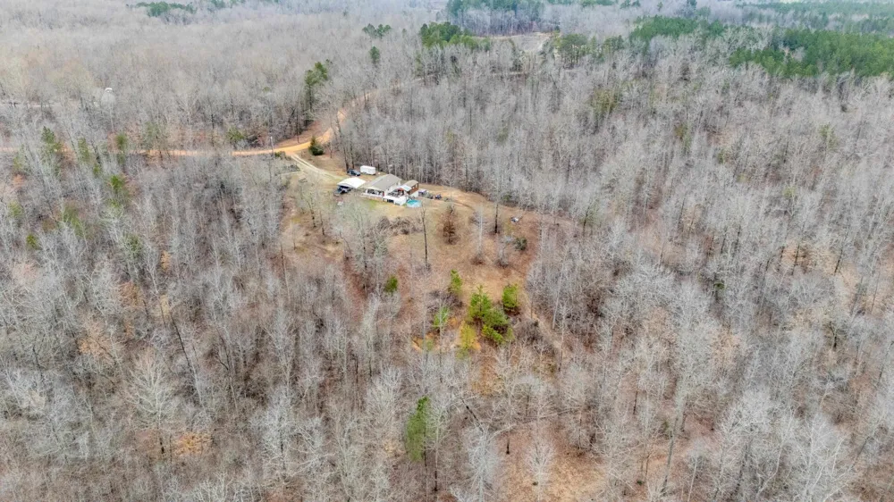 2040 LIBERTY RD Morris Chapel, TN 38361