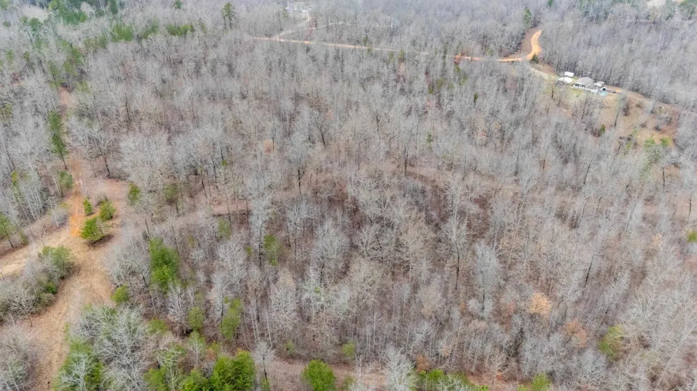 2040 LIBERTY RD Morris Chapel, TN 38361