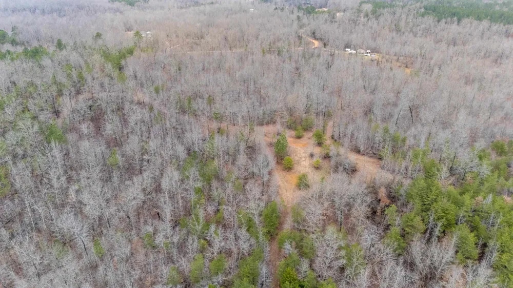 2040 LIBERTY RD Morris Chapel, TN 38361