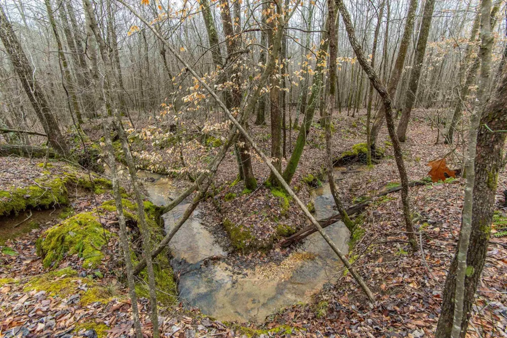 2040 LIBERTY RD Morris Chapel, TN 38361