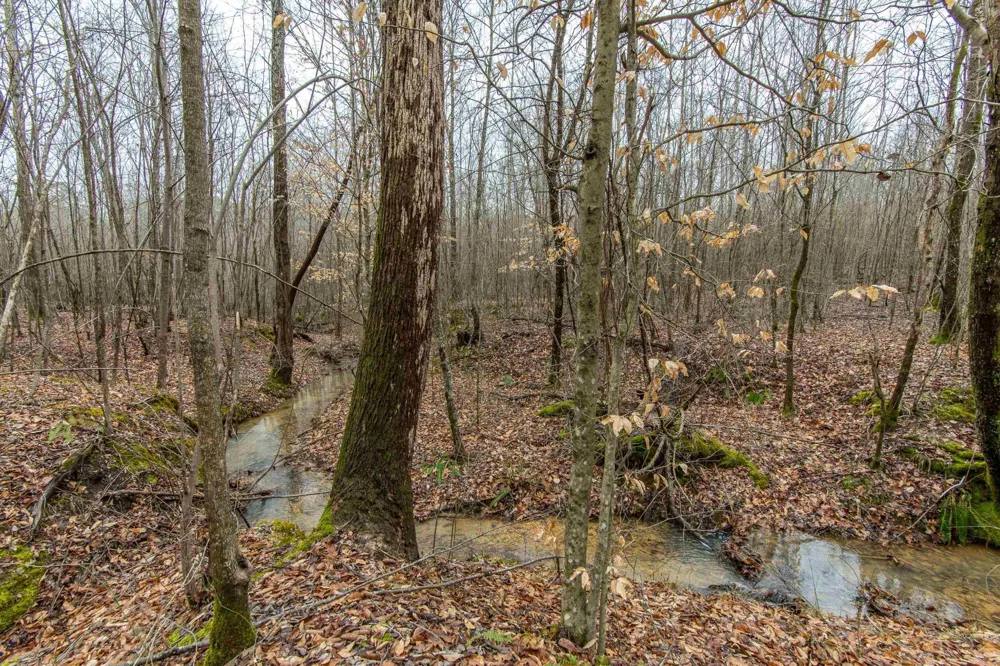 2040 LIBERTY RD Morris Chapel, TN 38361