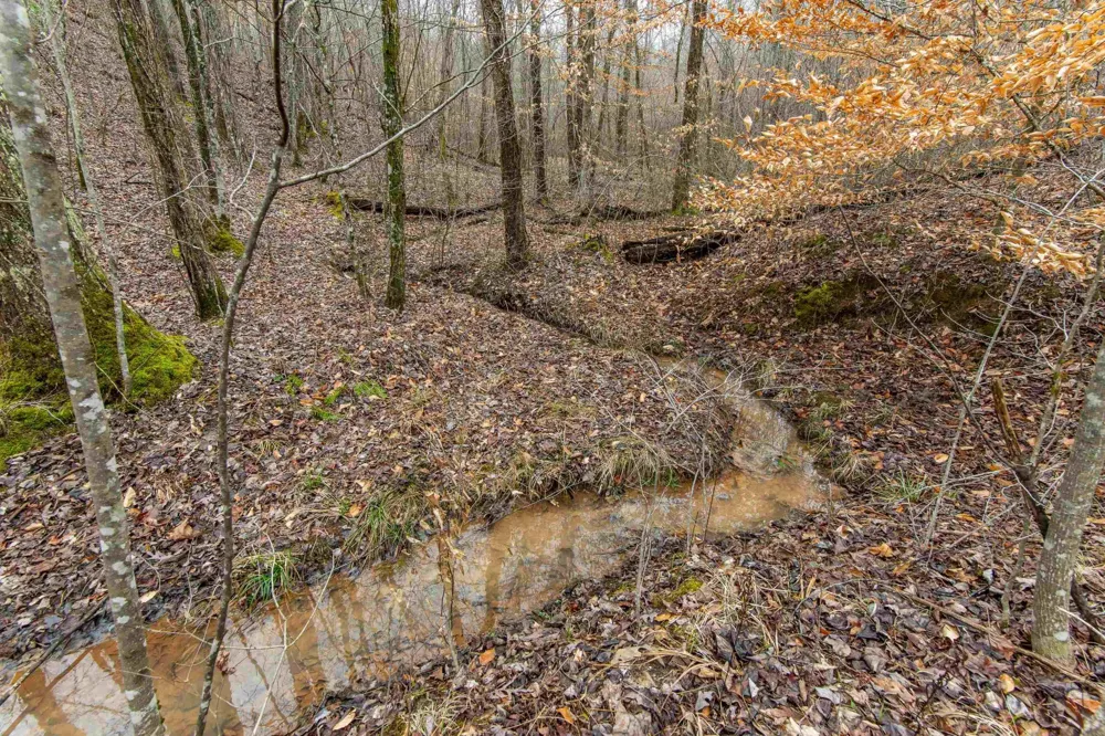 2040 LIBERTY RD Morris Chapel, TN 38361