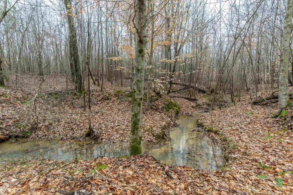 2040 LIBERTY RD Morris Chapel, TN 38361