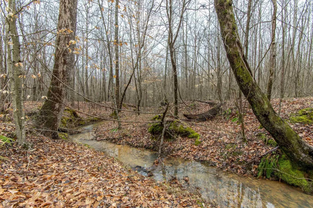 2040 LIBERTY RD Morris Chapel, TN 38361